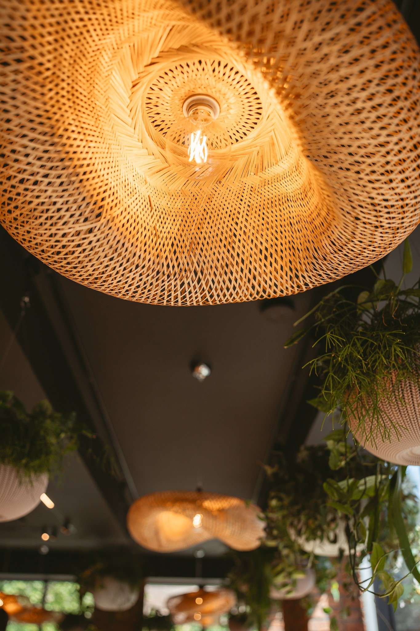 Design interior Bricks - A Culinary Oasis in the Heart of the City Oradea România Davidsign - 6