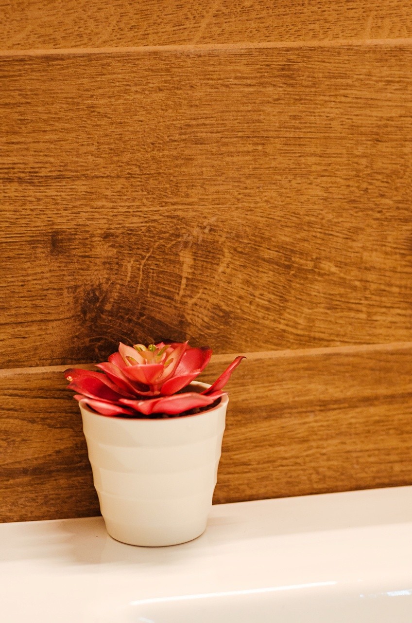 Design interior Open Space Apartment in Romania Oradea România Davidsign - 17